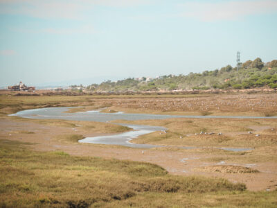 Quinta do Lago & Parque Natural da Ria Formosa