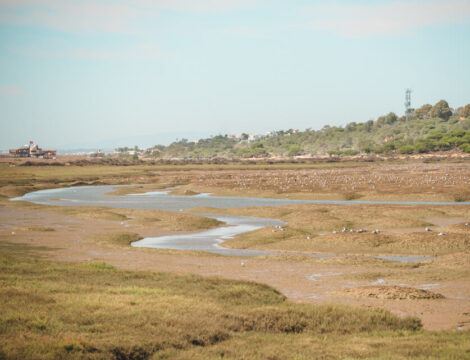 Quinta do Lago & Parque Natural da Ria Formosa