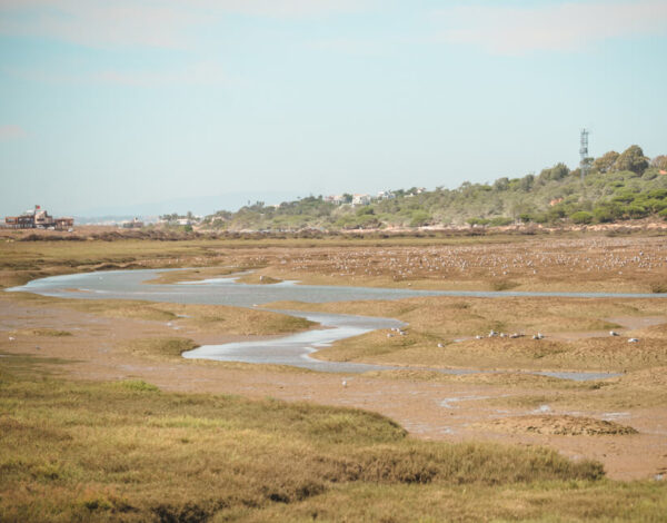 Quinta do Lago & Parque Natural da Ria Formosa