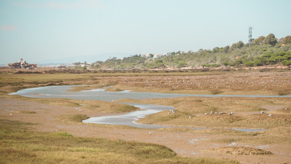 Quinta do Lago & Parque Natural da Ria Formosa
