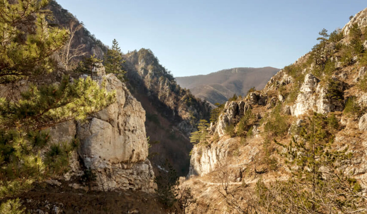 Cheile Tasnei Hike