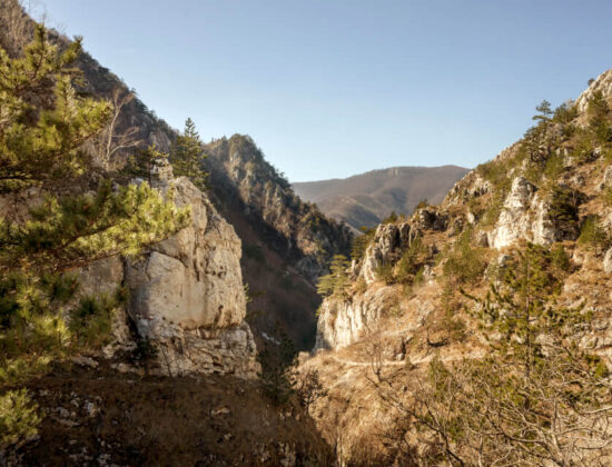 Cheile Tasnei Hike