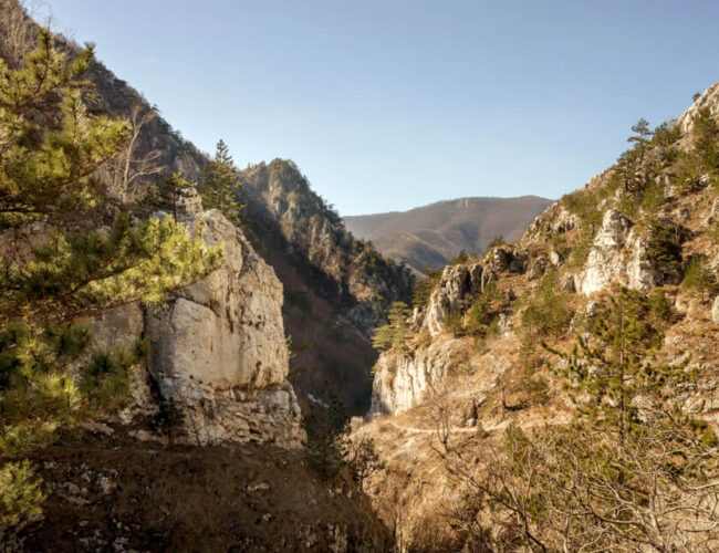 Cheile Tasnei Hike