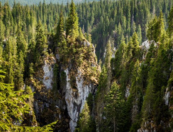 ROMANIA – Winter in Apuseni