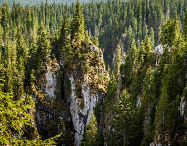 ROMANIA – Winter in Apuseni