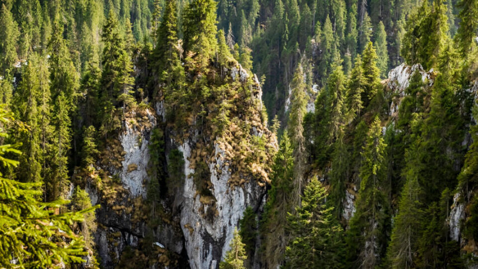 ROMANIA – Winter in Apuseni