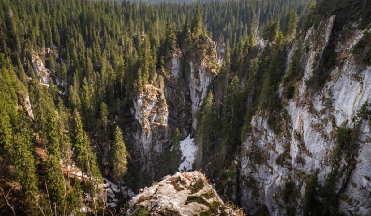 La Balcoane – Cetățile Ponorului Hike