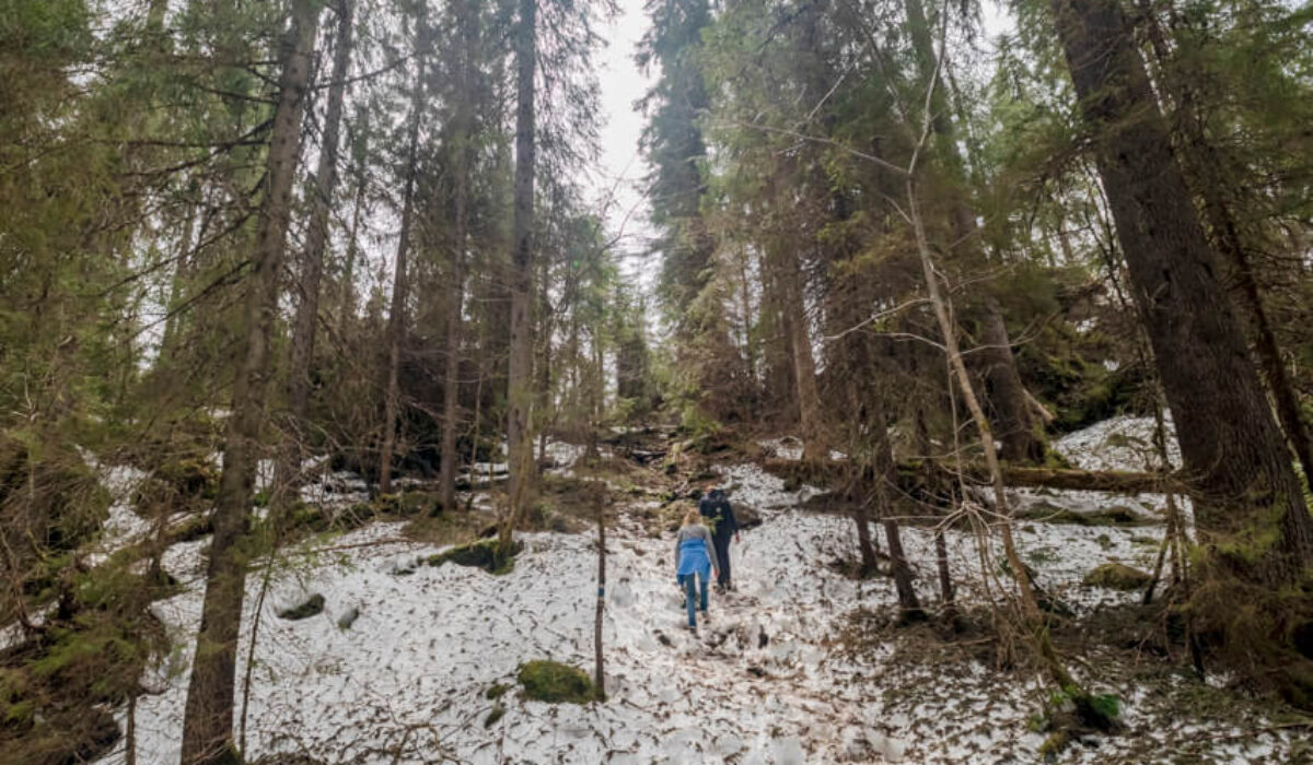 Cheile – Cetățile Ponorului – incomplete Hike
