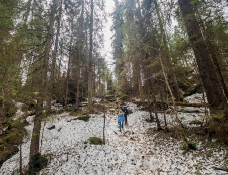 Cheile – Cetățile Ponorului – incomplete Hike