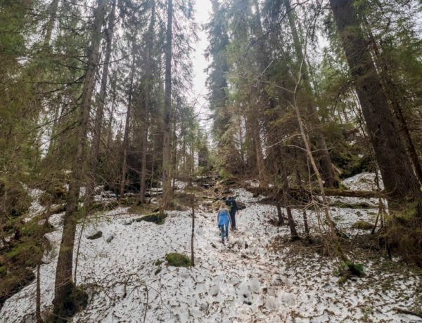 Cheile – Cetățile Ponorului – incomplete Hike