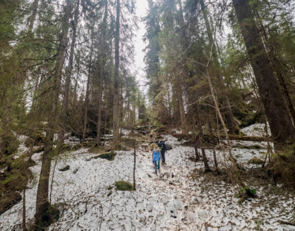 Cheile – Cetățile Ponorului – incomplete Hike