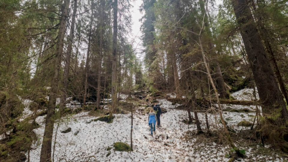 Cheile – Cetățile Ponorului – incomplete Hike