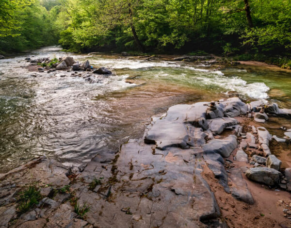 Crisul Pietros & Depresiunea Balileasa