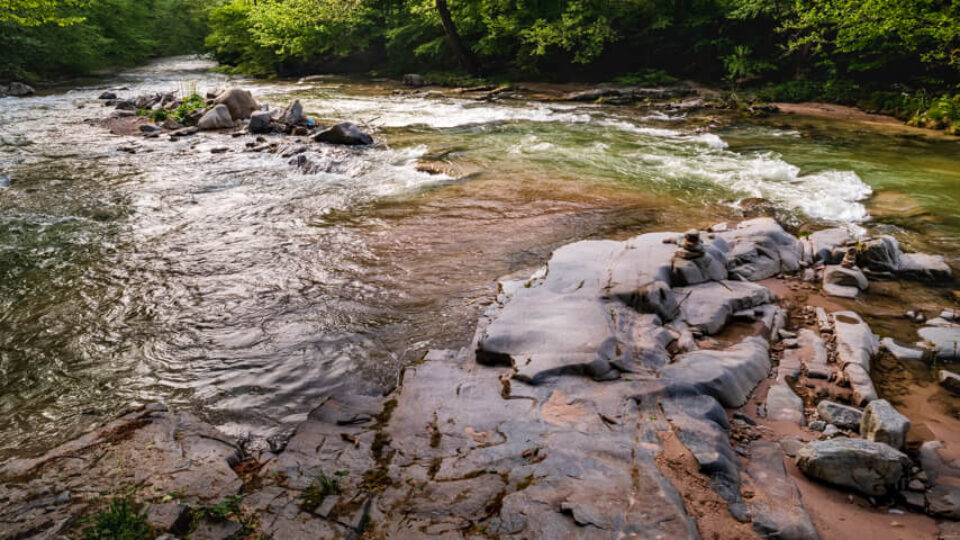 Crisul Pietros & Depresiunea Balileasa