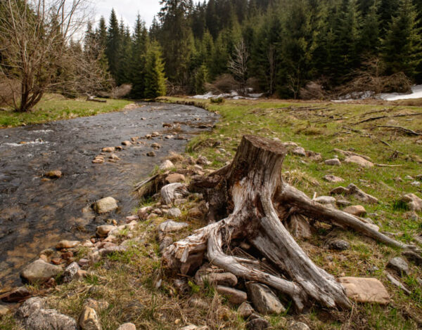 Lumea Pierduta – The Lost World – incomplete Hike