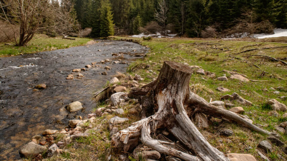 Lumea Pierduta – The Lost World – incomplete Hike