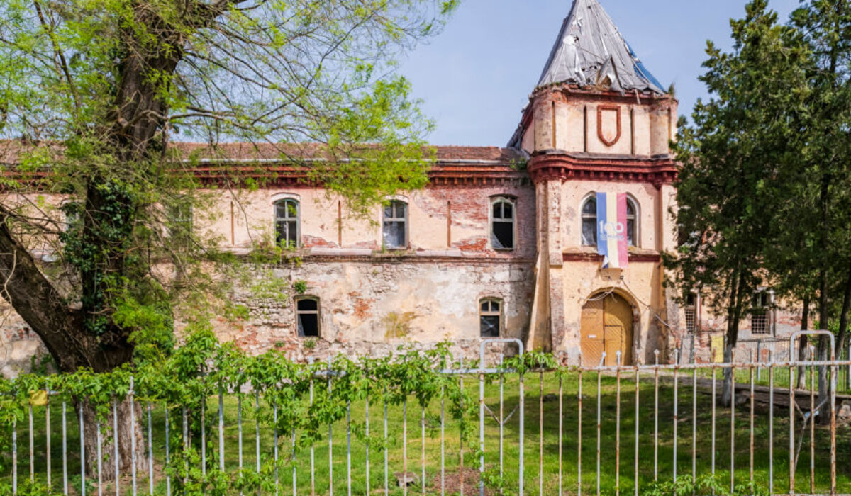 Cetatea Ineului