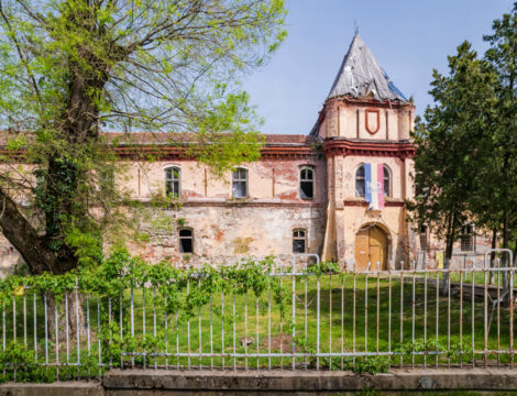 Cetatea Ineului