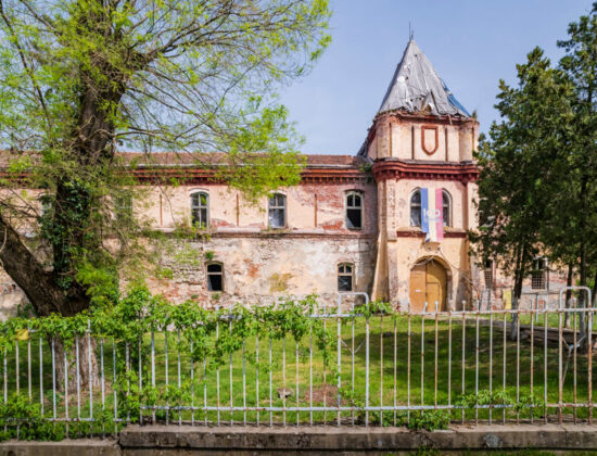 Cetatea Ineului