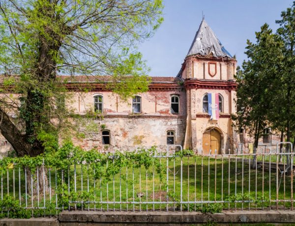 Cetatea Ineului