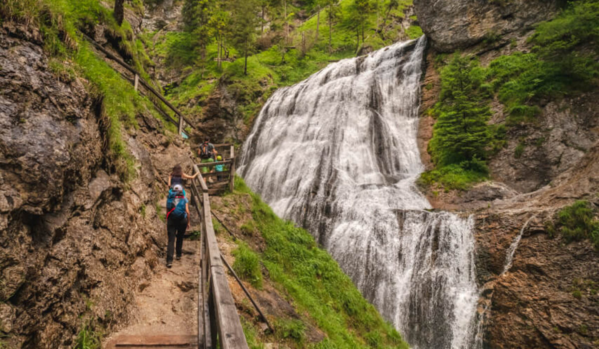 Nature Park Steirische Eisenwurzen: Wasserlochklamm Palfau