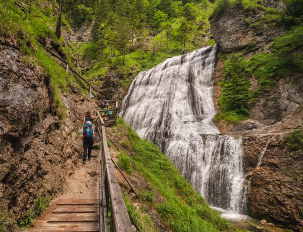 Nature Park Steirische Eisenwurzen: Wasserlochklamm Palfau