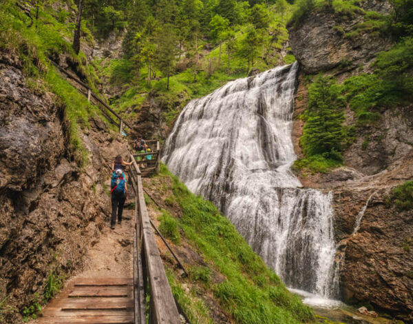 Nature Park Steirische Eisenwurzen: Wasserlochklamm Palfau