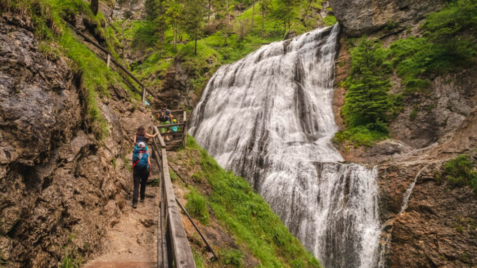 Nature Park Steirische Eisenwurzen: Wasserlochklamm Palfau