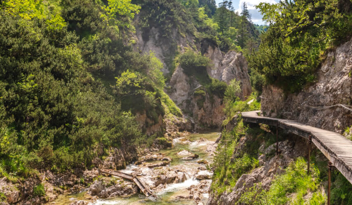 Nature Park Ötscher-Tormäuer: Vordere Ötschergräben
