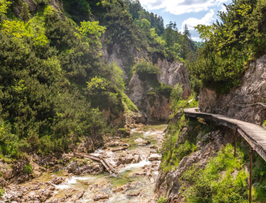 Nature Park Ötscher-Tormäuer: Vordere Ötschergräben