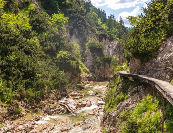 Nature Park Ötscher-Tormäuer: Vordere Ötschergräben