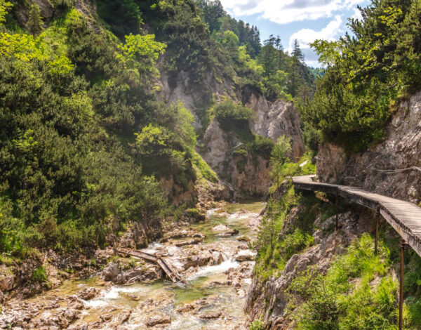 Nature Park Ötscher-Tormäuer: Vordere Ötschergräben
