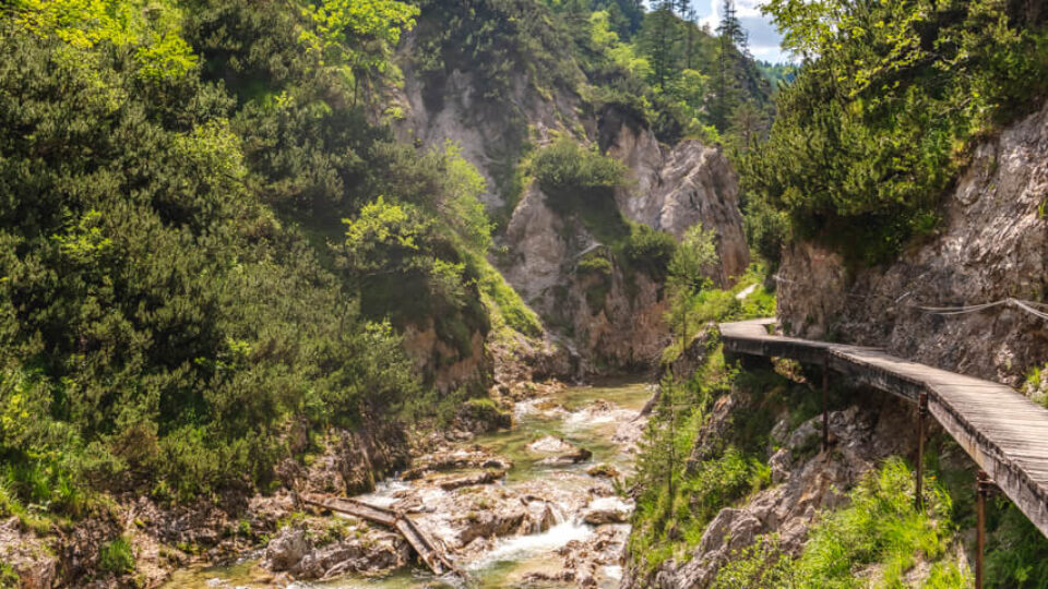 Nature Park Ötscher-Tormäuer: Vordere Ötschergräben
