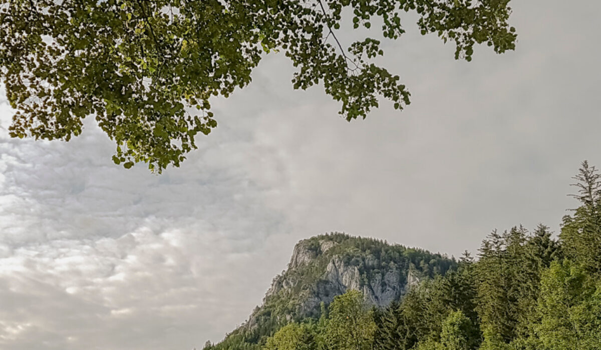 Nature Park Falkenstein-Schwarzau: Falkenstein 1011m