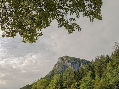 Nature Park Falkenstein-Schwarzau: Falkenstein 1011m