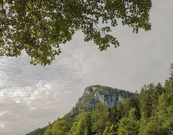 Nature Park Falkenstein-Schwarzau: Falkenstein 1011m