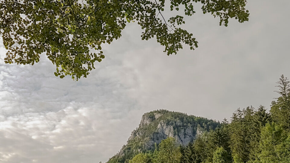 Nature Park Falkenstein-Schwarzau: Falkenstein 1011m