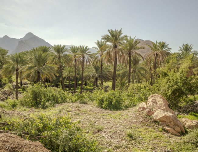 OMAN