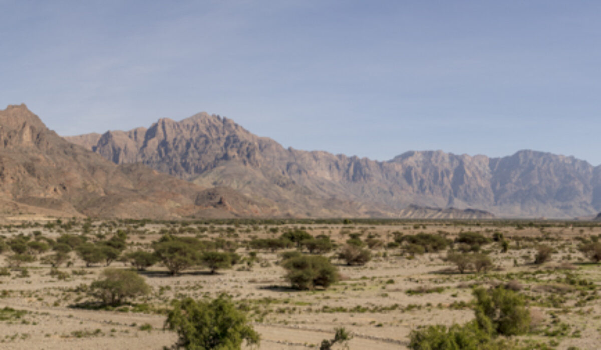 Wadi Mistral