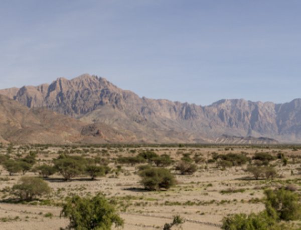 Wadi Mistral