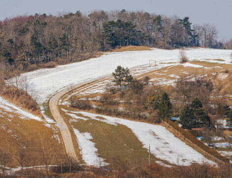 Nature Park Leiser Berge: Oberleiser Berg 455m
