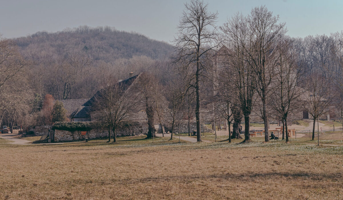 Nature Park Wüste Mannersdorfer: Ruin Scharreneck