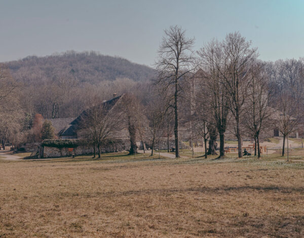 Nature Park Wüste Mannersdorfer: Ruin Scharreneck