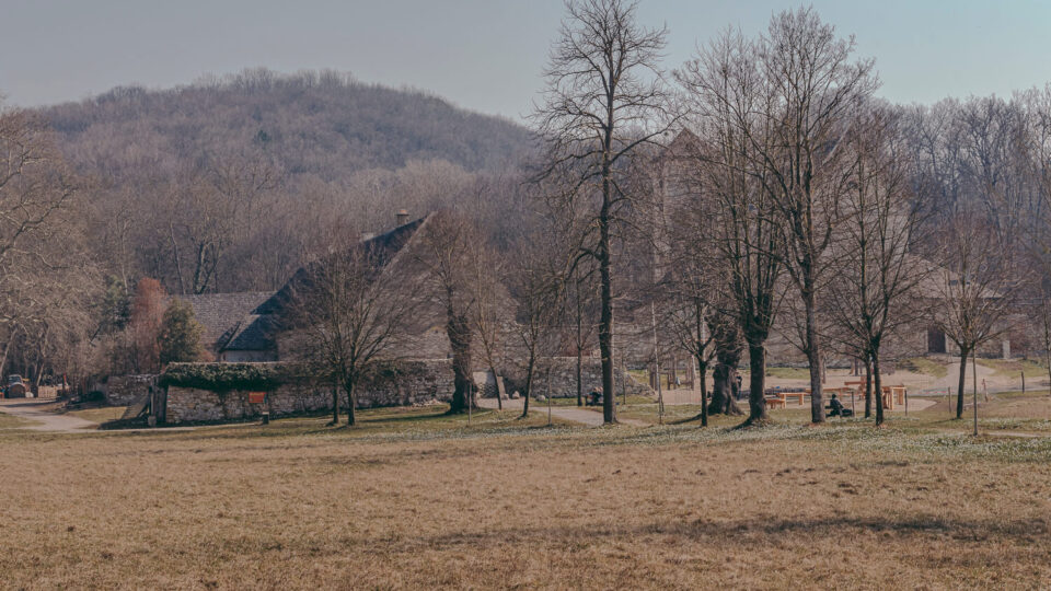 Nature Park Wüste Mannersdorfer: Ruin Scharreneck