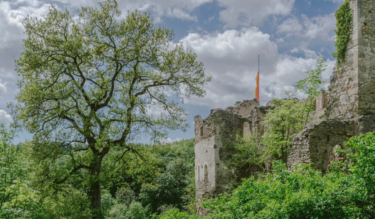 Nature Park Sparbach & Ruin Johannstein