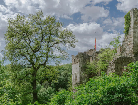 Nature Park Sparbach & Ruin Johannstein
