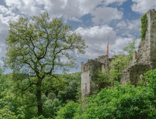 Nature Park Sparbach & Ruin Johannstein