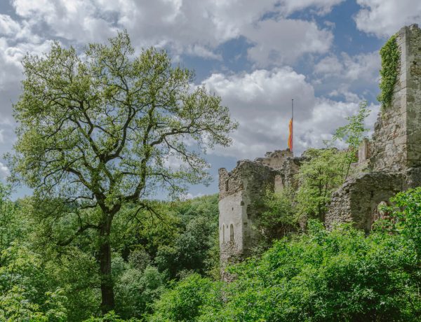 Nature Park Sparbach & Ruin Johannstein