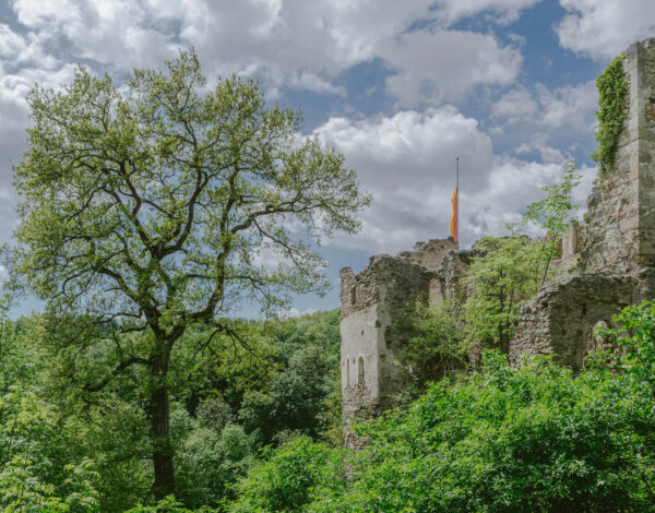 Nature Park Sparbach & Ruin Johannstein
