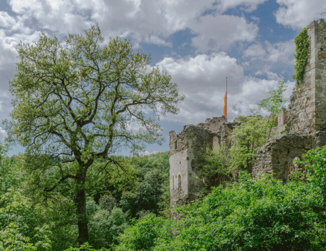 Nature Park Sparbach & Ruin Johannstein